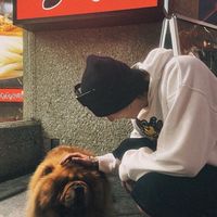 追星同人文交流群