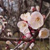 相談(人生・恋愛etc)してください