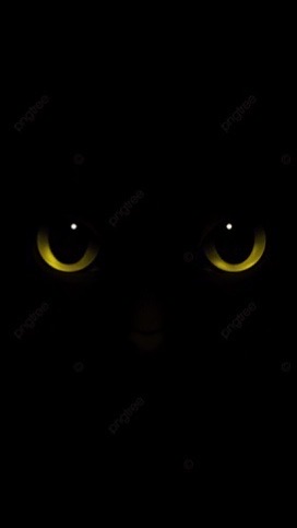 甲子園🐱貓奴互助會