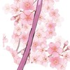 40人になったら配布するよ！定期的に配布！暗殺者対保安好きな人集まれ〜！！