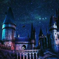 •𝗛𝗼𝗴𝘄𝗮𝗿𝘁𝘀✨🔮