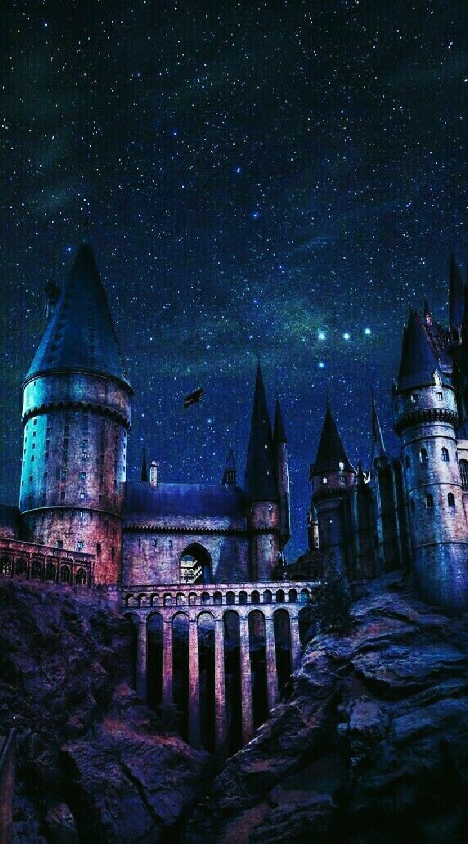 Hogwarts school