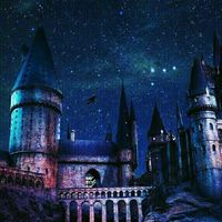 Hogwarts school
