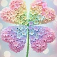 💙大人女性の和やかサロン      ☘️優しいメッセージ☘️        メンション＊リプライなし