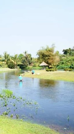 สายด่วน ราช ฯ พิเศษกสิกร