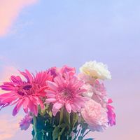 同伴のみ❣️恋仲限定緩也