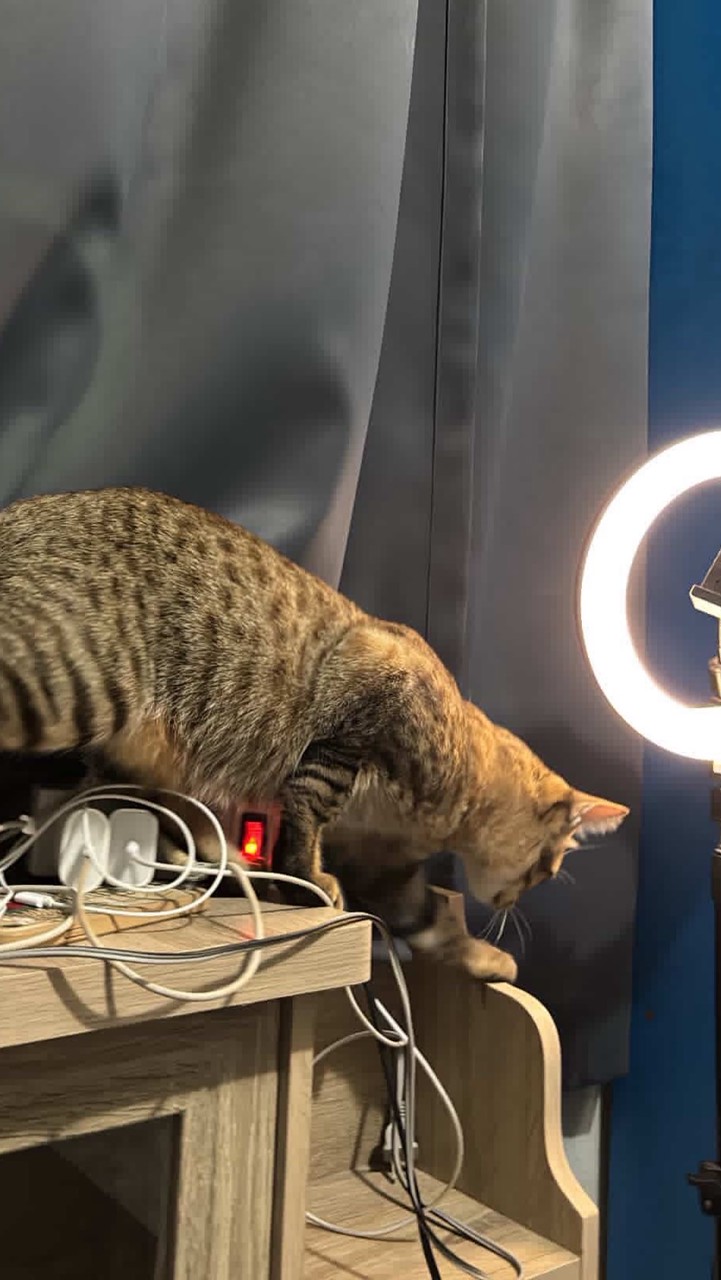 ตัวแทน / พรีแอค YouTube Netflix 🎀