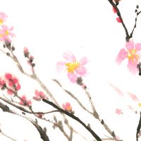 佛教開悟推動小組