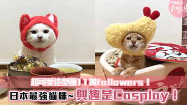 日本最強貓咪~興趣是Cosplay！讓主子們開心~超可愛造型獲11萬followers！