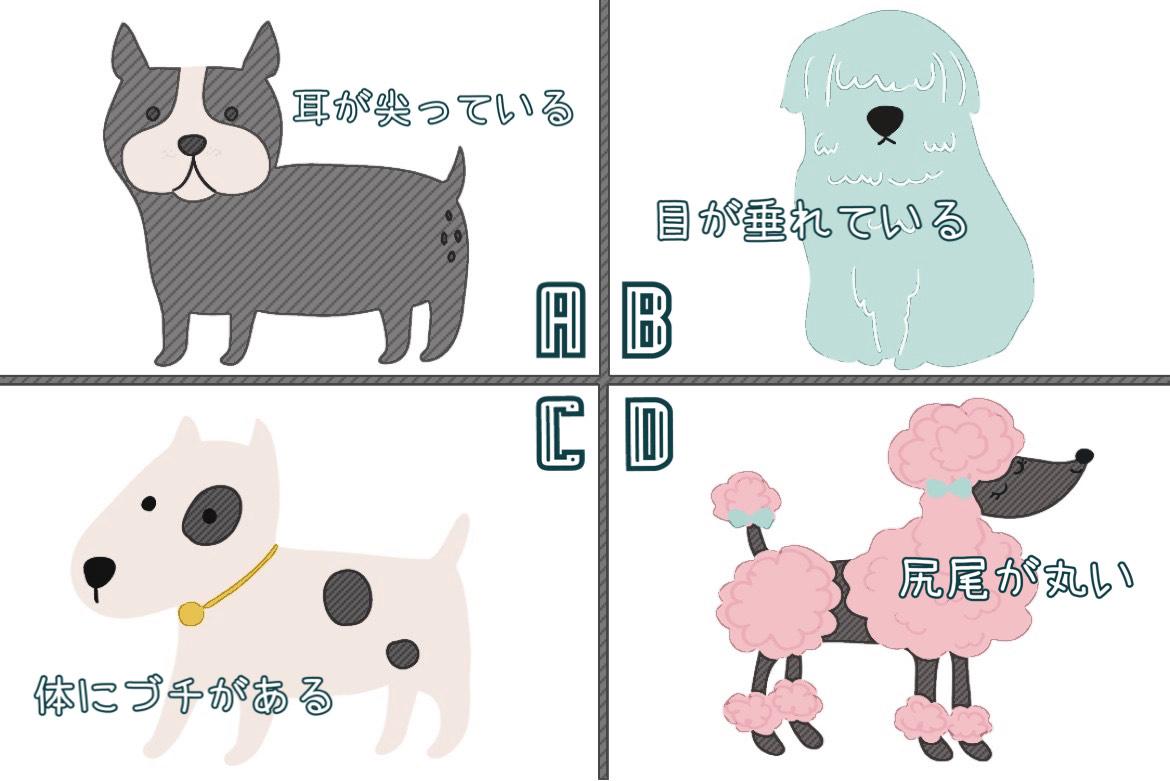 恋愛心理テスト 迷い犬の特徴は あなたが次に出会う恋人候補と観ると恋のスイッチが入る映画が分かる Charmmy