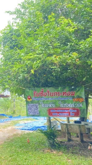 บ้านยายใจใบกระท่อม