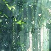 棲所對戲群