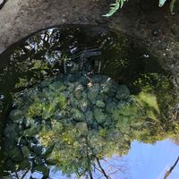 ひきこもりの子（年齢不問）を持つ親が集まるオープンチャット