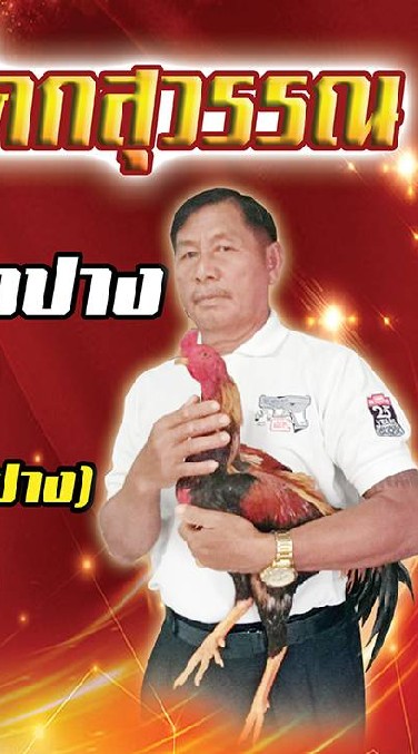 สนามกีฬาชนไก่โคกสุวรรณ ป.นำโชค