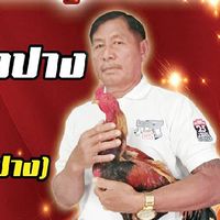 สนามกีฬาชนไก่โคกสุวรรณ ป.นำโชค