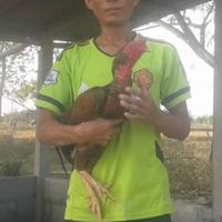 ซุ้ม ก.พรสวรรค์ (พม่าแข้งพรสวรรค์)