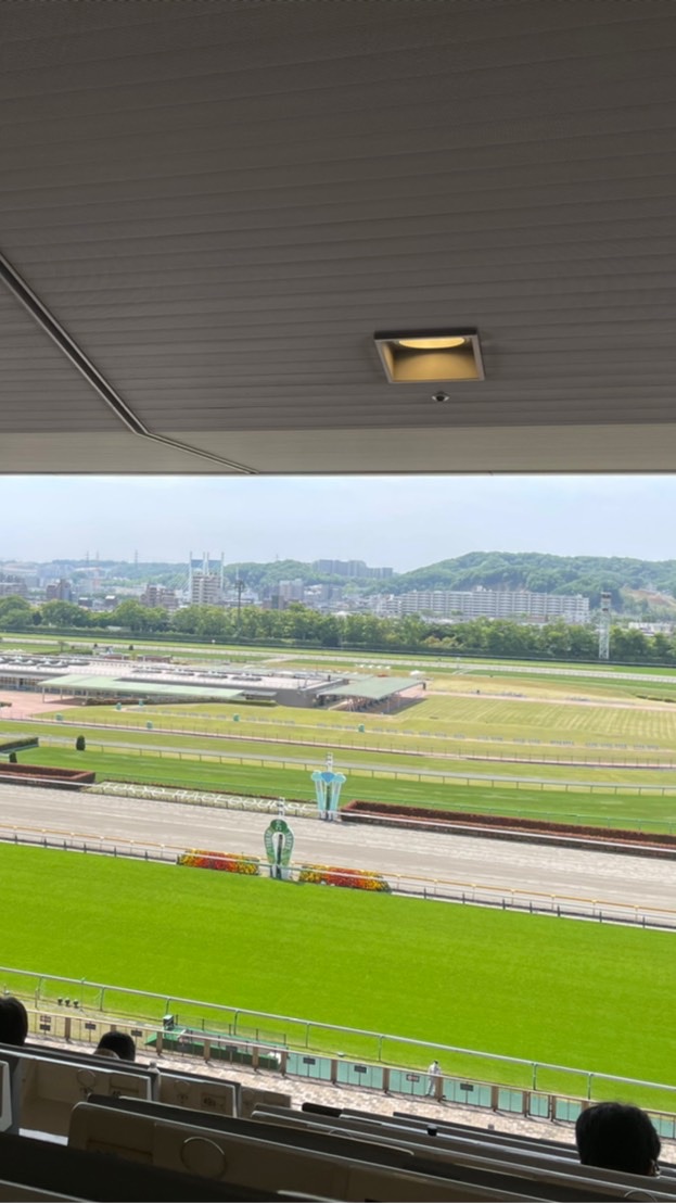 OpenChat 🐎夜の競馬討論会🐎