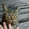 二手衣物找新主人