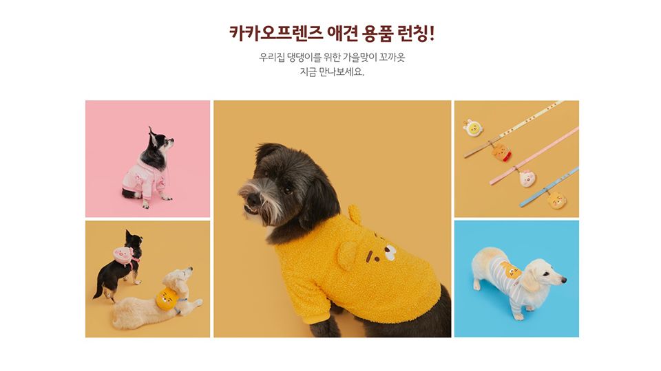 圖片來源：KAKAO FRIENDS.KR