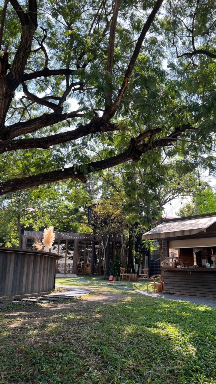 THE WOOD LAND Workshop