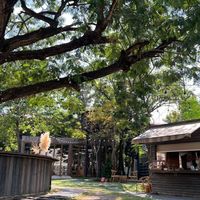 THE WOOD LAND Workshop