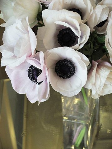 面白い 花屋さんが パンダ と呼んでいるアネモネで個性派アレンジ 家庭画報 Com