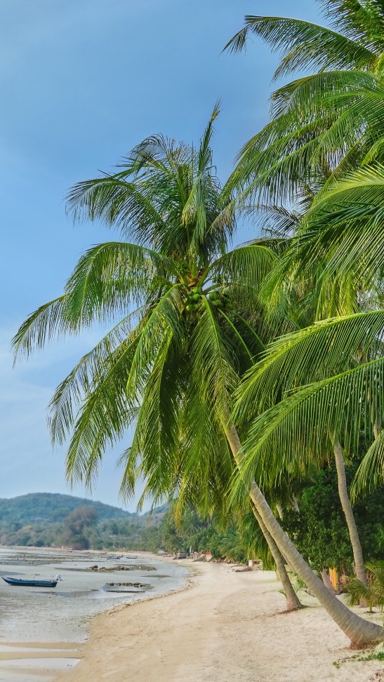 しろくろこの部屋のオープンチャット