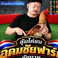 อุดมชัย ฟาร์ม ชัยนาท