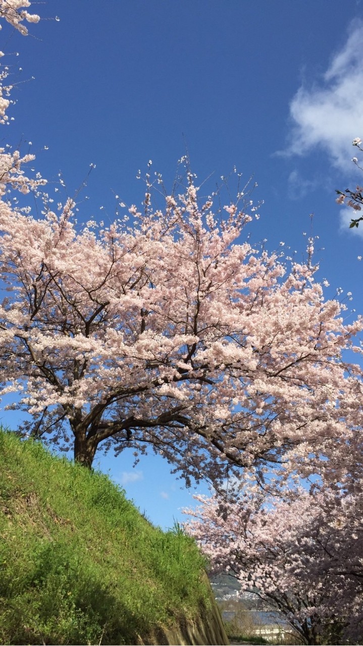Setouchi Island Co-Creation