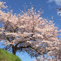 Setouchi Island Co-Creation