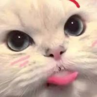 ยัยเหมยเองไง