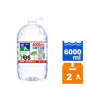 悅氏 礦泉水 6000ml (2入)/箱【康鄰超市】