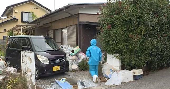 失業男虐30多貓「任屍體腐爛」飄惡臭！鄰居：靠近會被跳蚤咬