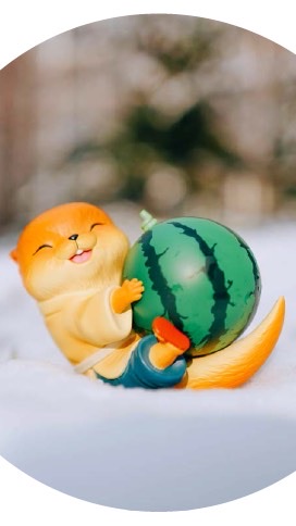 南波玩