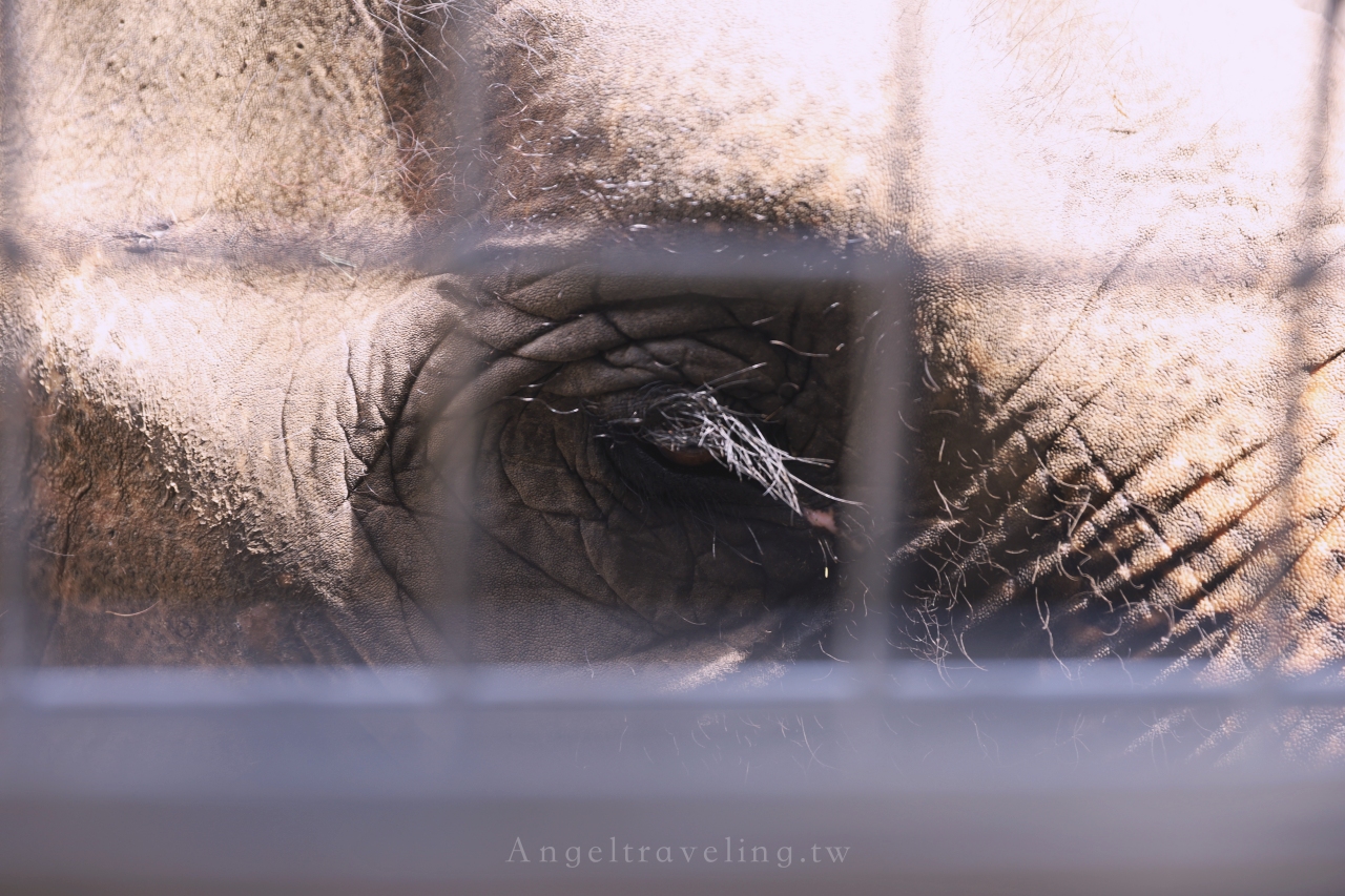 九州自然野生動物園 1314 1