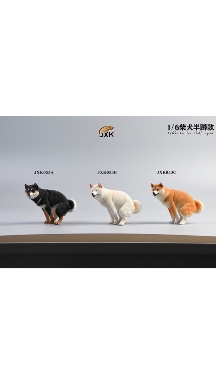 柴柴俱樂部