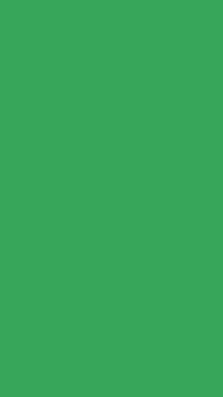 คณะสีการเวก 2567
