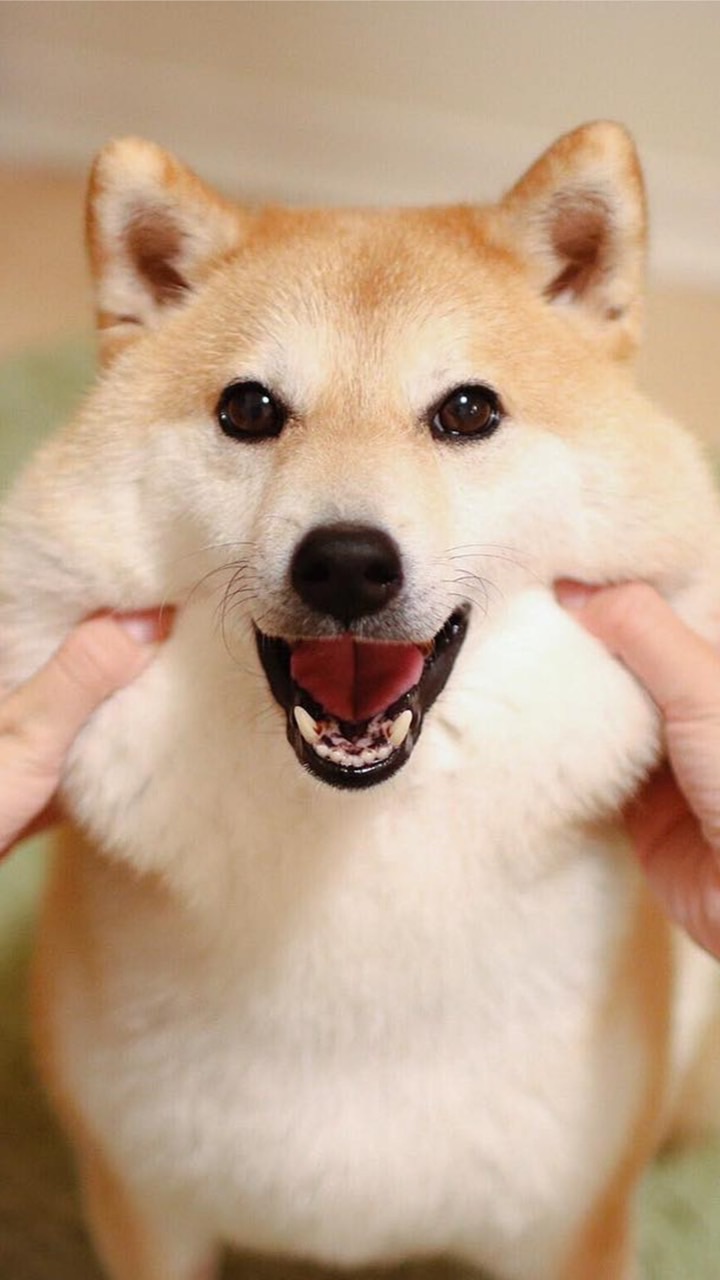 借錢不求人
