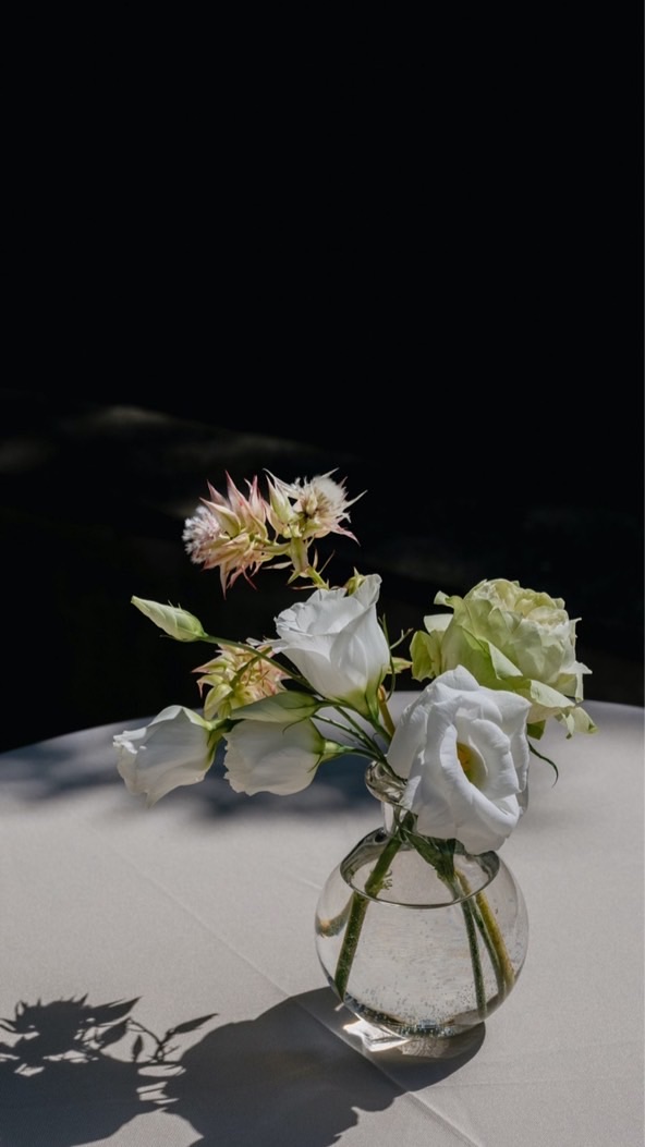 𝕮𝖎𝖗𝖈𝖚𝖘 𝖓𝖎𝖌𝖍𝖙