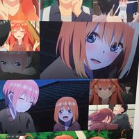 ごと嫁愛好家