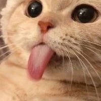 暫時想不到 🤫
