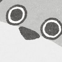 ユルユル話したい人!