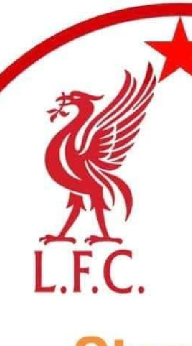 L.F.C Store Live