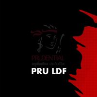 Pru Agency Leader