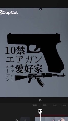 10禁エアガン愛好家