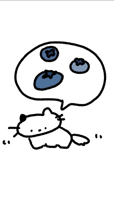 𝐛𝐥𝐮𝐞𝐛𝐞𝐫𝐫𝐲 𝐬𝐭𝐮𝐝𝐢𝐨.