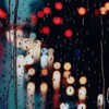 【　種を喰らう者　＿＿＿　。　】
