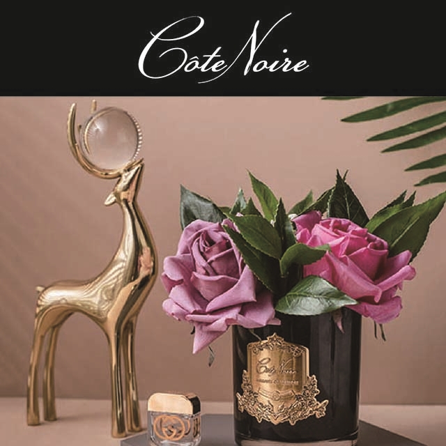 來自法國的 Côte Noire 蔻特蘭 市面上第一支 賦予香氛花，真實花朵的外觀與觸感的香氛品牌不同於傳統擴香，藉由竹籐吸收香精揮發擴散，無法控制香味濃度，不能控制使用時間。每朵香氛花 搭配一個噴霧