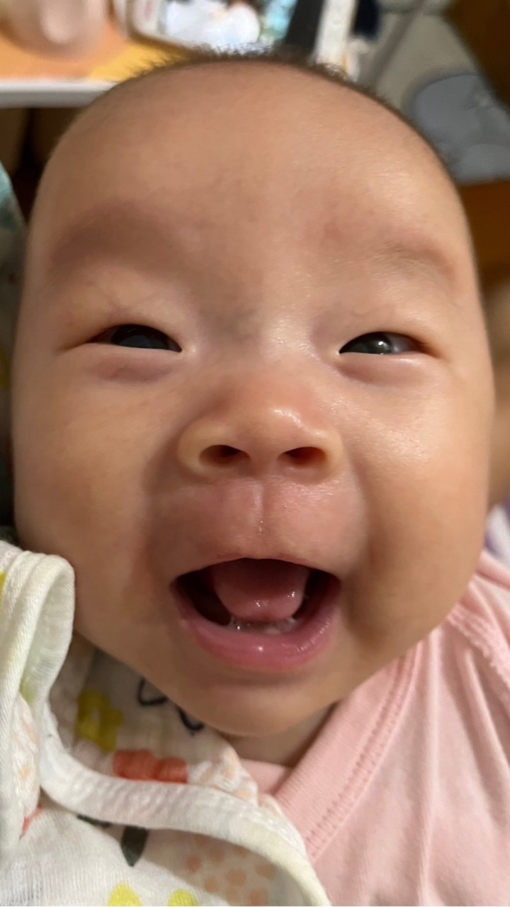 馬鈴薯之家