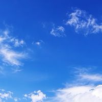ひまじんおぷ　ぷにぷに　ロブロックス　なんでも大歓迎